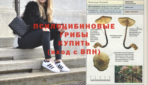 индика Балахна