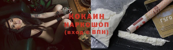 индика Балахна