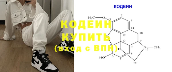 индика Балахна