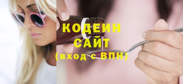 индика Балахна
