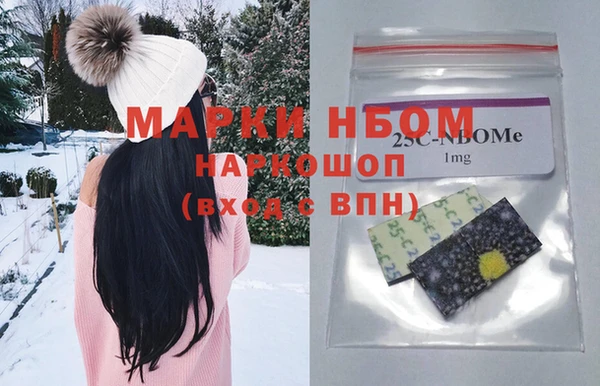 индика Балахна