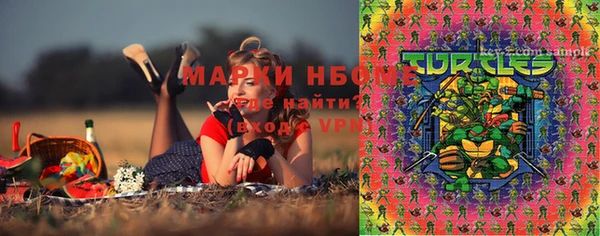 индика Балахна