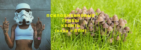 индика Балахна
