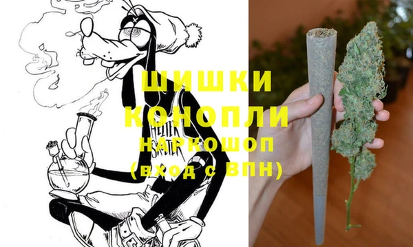 тгк Заводоуковск