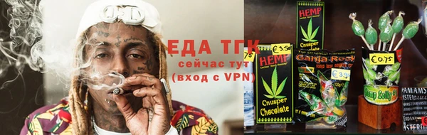 индика Балахна