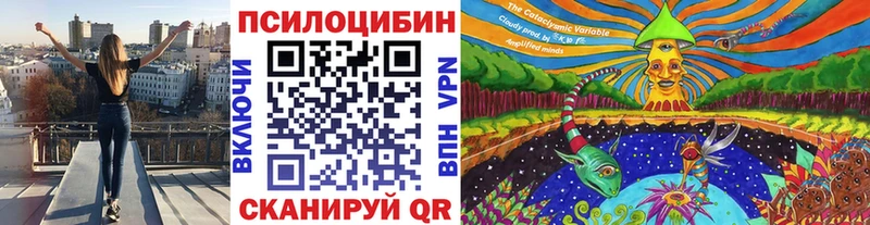 blacksprut tor  закладка  Кушва  Галлюциногенные грибы MAGIC MUSHROOMS 